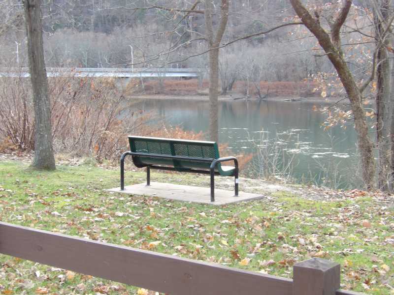 Orange County Yard Waste Rules